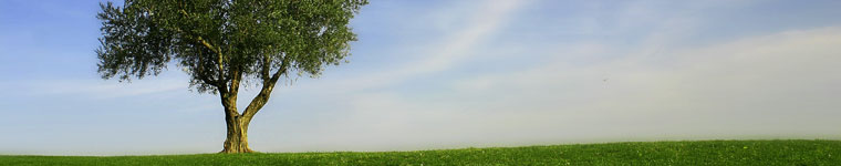 banner1_arqus_739385_87460520.jpg